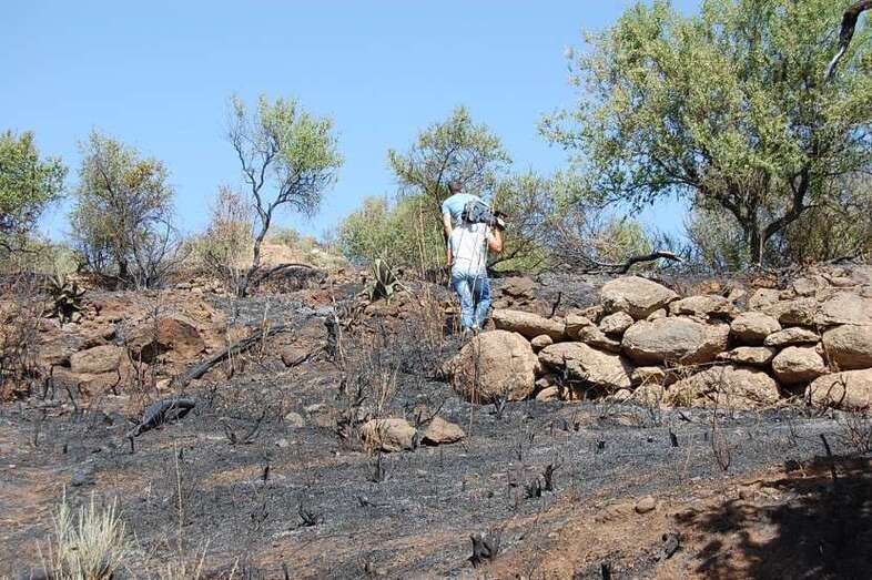 Imagen de archivo de una zona quemada de la cumbre de Telde en un incendio forestal (Foto TA)